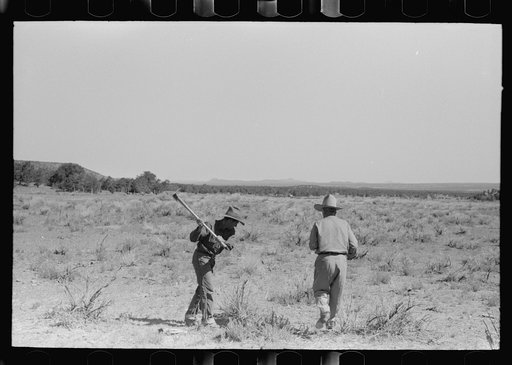 Grubbing out rabbit brush. Pie Town, New Mexico