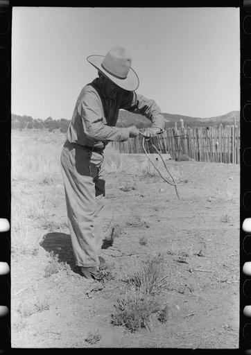 Forked stick twists and points downward in water witch's hands over proper location for well. Pie Town, New Mexico
