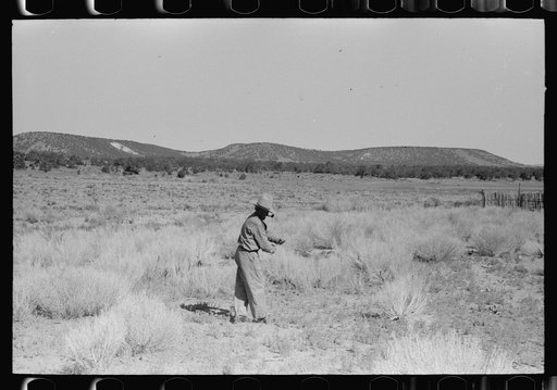 Water witch following forded stick in search for water, Pie Town, New Mexico