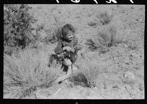 Josie Caudill gathering wildflowers. Pie Town, New Mexico