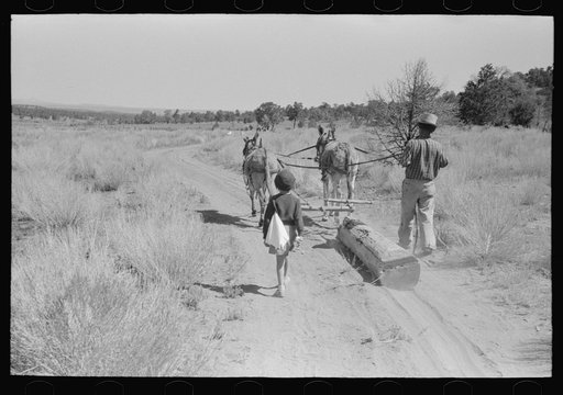 Untitled photo, possibly related to: Dragging log from old dugout to be used in building new dugout, Pie Town, New Mexico