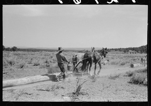 Dragging up logs to be used in building dugout, Pie Town, New Mexico