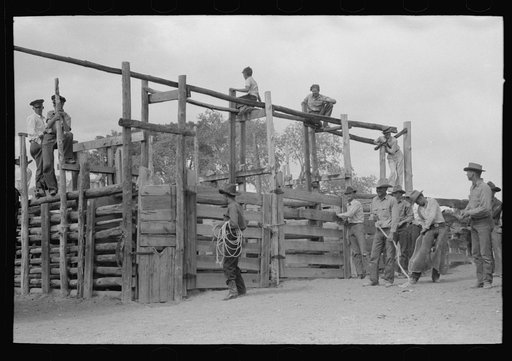 Cowboy around corral at rodeo, Quemado, New Mexico