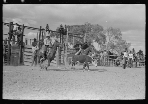 Untitled photo, possibly related to: Calf roping, rodeo at Quemado, New Mexico