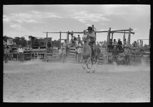 Untitled photo, possibly related to: Calf roping, rodeo at Quemado, New Mexico