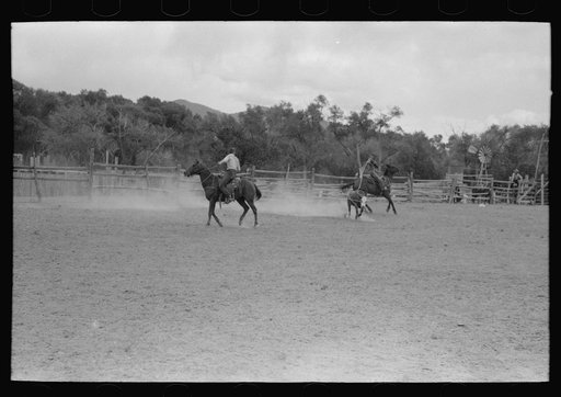 Untitled photo, possibly related to: Calf roping, rodeo at Quemado, New Mexico