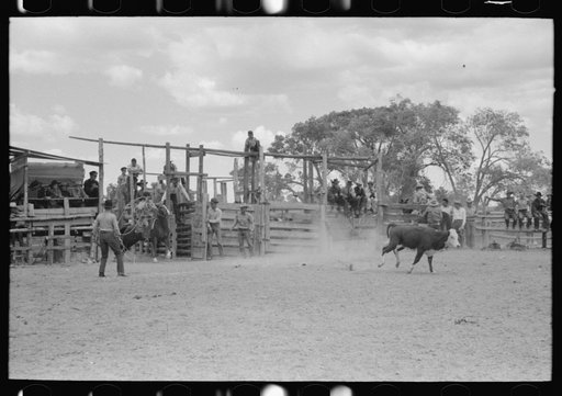 Untitled photo, possibly related to: Calf roping, rodeo at Quemado, New Mexico