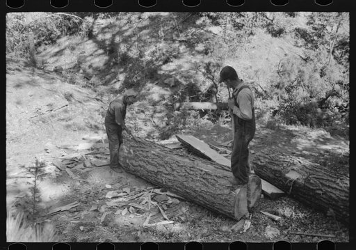 Splitting log which will be cut with broadaxe into ties. Pie Town, New Mexico