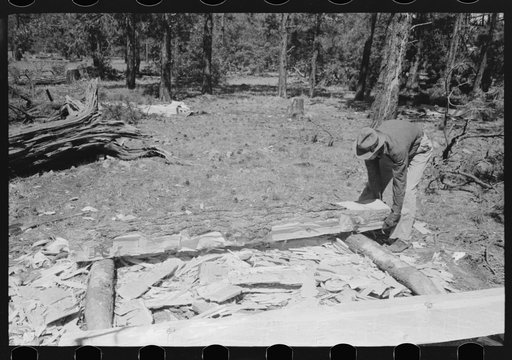 Putting log into place before hewing into tie, Pie Town, New Mexico