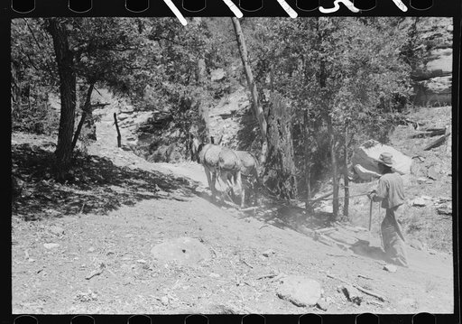 Untitled photo, possibly related to: Logs which are being hewn into ties. The ties are hewn with broadaxes where the tree has been felled and dragged down the mountain, Pie Town, New Mexico