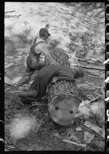 Tie cutters rolling over a log in order to remove the slab from the other side, Pie Town, New Mexico