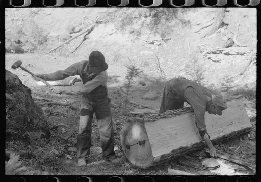 Tie workers driving steel wedges into a pine log to split it, Pie Town, New Mexico