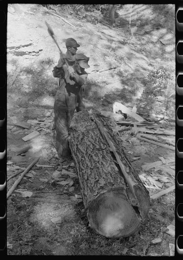Tie cutter removing slab from pine log which will be hewn into ties, Pie Town, New Mexico
