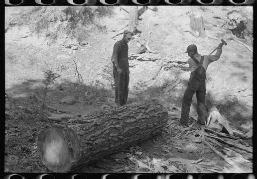 Tie cutter removing slab from pine log which will be hewn into ties, Pie Town, New Mexico