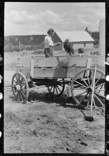 Untitled photo, possibly related to: Spanish-American woman pitching straw out of wagon. Straw will be used to make plaster. Chamisal, New Mexico