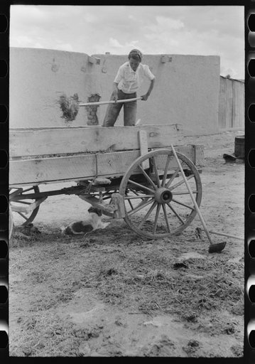 Untitled photo, possibly related to: Spanish-American woman pitching straw out of wagon. Straw will be used to make plaster. Chamisal, New Mexico