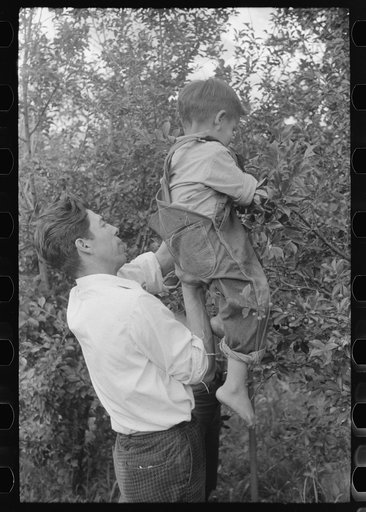 Spanish-American farmer and his nephew in the orchard, Chamisal, New Mexico