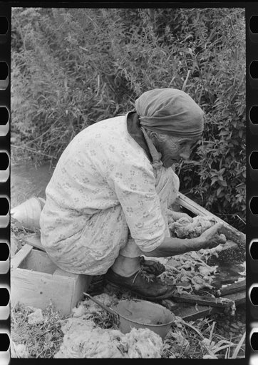Old Spanish-American woman washing wool in irrigation ditch, Chamisal, New Mexico