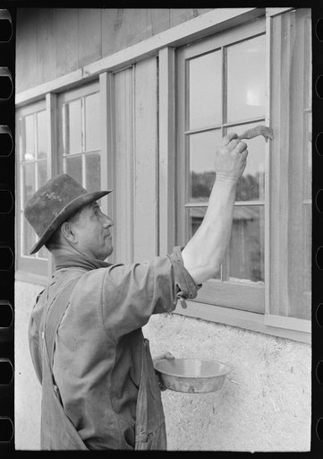 Spanish-American farmer painting window frames on his house, Chamisal, New Mexico