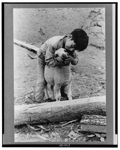 Spanish-American boy with lamb, Amalia, New Mexico