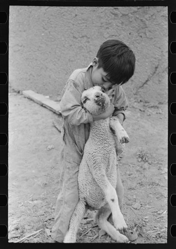 Untitled photo, possibly related to: Spanish-American boy with lamb, Amalia, New Mexico