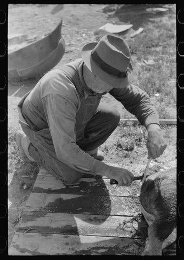 Untitled photo, possibly related to: Spanish-American farmer scraping hair from slaughtered hog. Chamisal, New Mexico