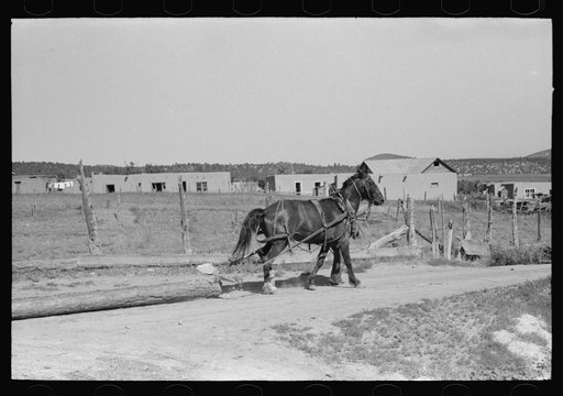Logs are transported in the Spanish-American country by means of horse and chain. Chamisal, New Mexico