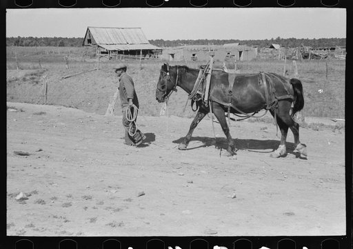 Spanish-American and horse. Chamisal, New Mexico