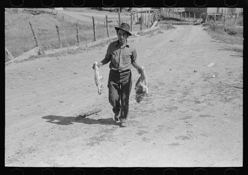 Spanish-American farmer with fresh pork from hog he has just slaughtered and dressed. Chamisal, New Mexico