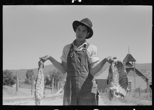 Spanish-American farmer with fresh pork. Chamisal, New Mexico