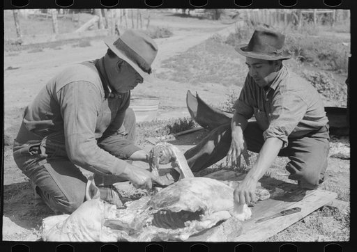 Cutting up slaughtered hog. Chamisal, New Mexico