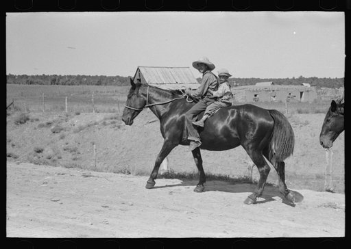 Spanish-American boys on a horse. Chamisal, New Mexico