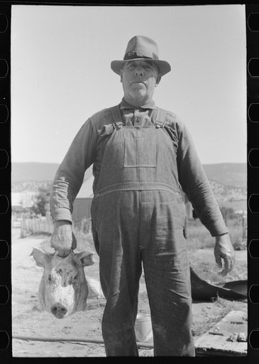 Spanish-American farmer with head of slaughtered hog. Chamisal, New Mexico