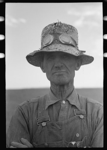 Untitled photo, possibly related to: Mormon farmer who lives in Snowville, Utah and who farms in Oneida County, Idaho, bagging wheat