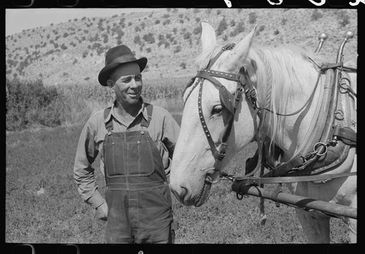 Mormon farmer, Box Elder County, Utah