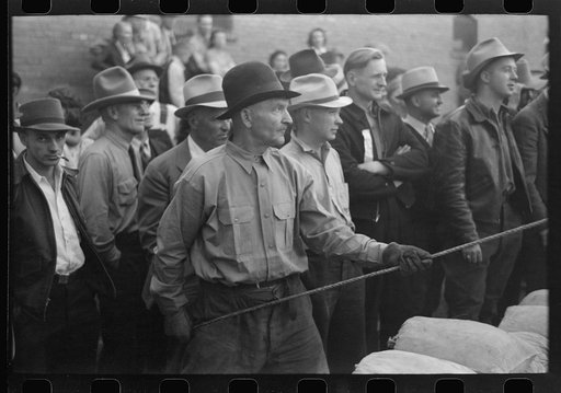 Untitled photo, possibly related to: Silverton, Colorado. Labor Day celebration. Contestant and spectators at the burro-loading contest