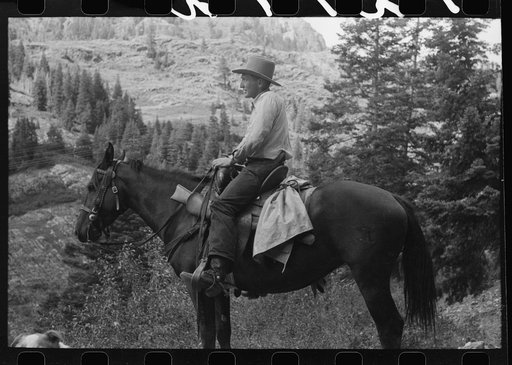 Sheepherder on his horse, Ouray County, Colorado