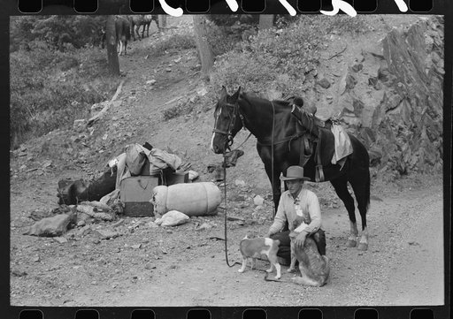 Sheepherder with his horse and camp outfit, Ouray County, Colorado