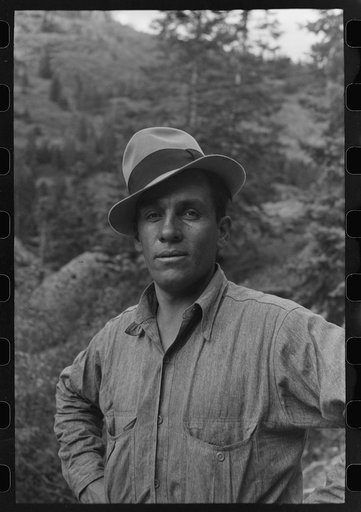 Sheepherder, Ouray County, Colorado