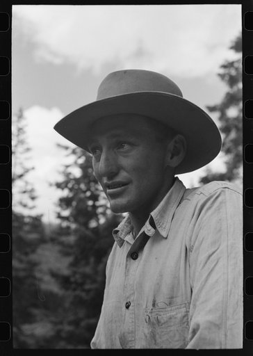 Sheepherder, Ouray County, Colorado