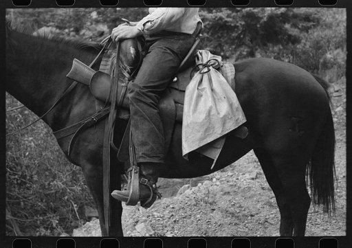 Untitled photo, possibly related to: Sheepherder on his horse, Ouray County, Colorado