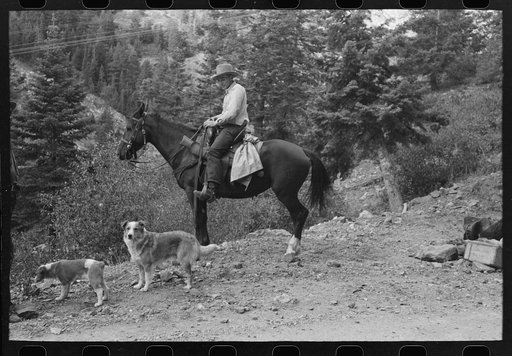 Untitled photo, possibly related to: Sheepherder on his horse, Ouray County, Colorado