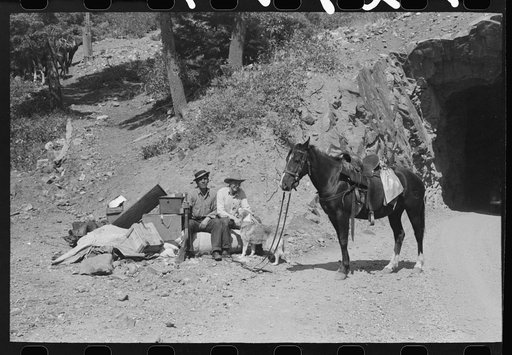 Sheepherders with their horse and camp outfit which they are moving from summer to winter range, Ouray County, Colorado