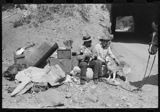 Untitled photo, possibly related to: Sheepherder with his horse and camp outfit, Ouray County, Colorado