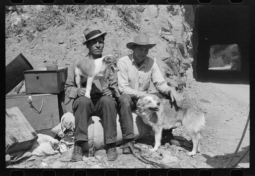 Untitled photo, possibly related to: Sheepherder with his horse and camp outfit, Ouray County, Colorado