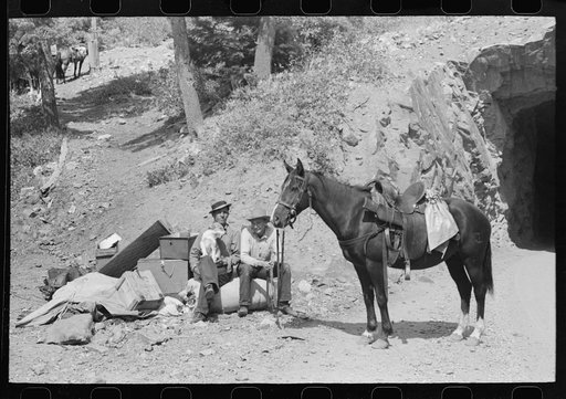 Untitled photo, possibly related to: Sheepherder with his horse and camp outfit, Ouray County, Colorado