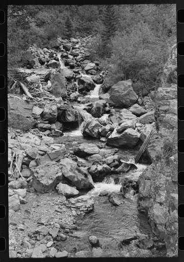 Mountain stream, Ouray County, Colorado