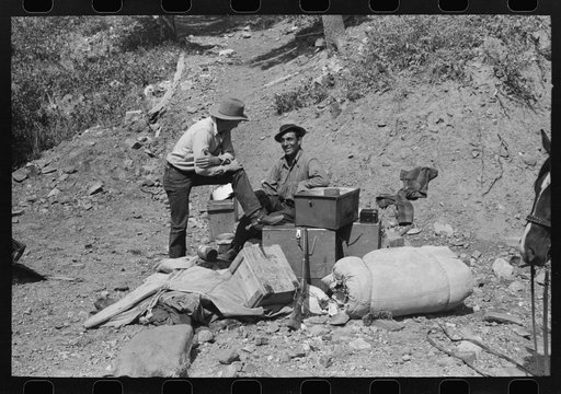 Untitled photo, possibly related to: Sheepherder with his horse and camp outfit, Ouray County, Colorado