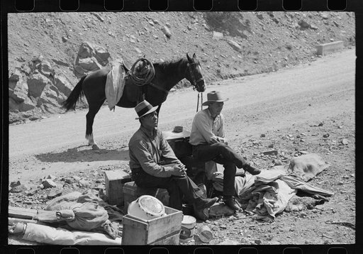 Untitled photo, possibly related to: Sheepherder with his horse and camp outfit, Ouray County, Colorado