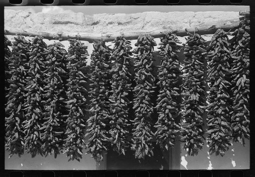 Chili peppers hanging from adobe house top while drying, Isletta, New Mexico
